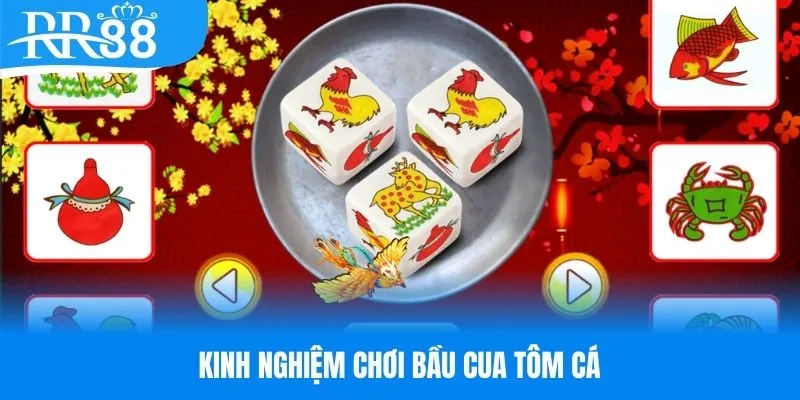 Kinh nghiệm cược bầu cua tôm cá hiệu quả