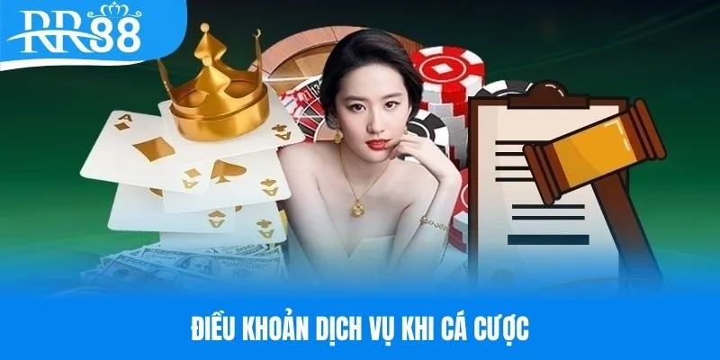 Tổng hợp điều khoản dịch vụ về hoạt động cá cược RR88